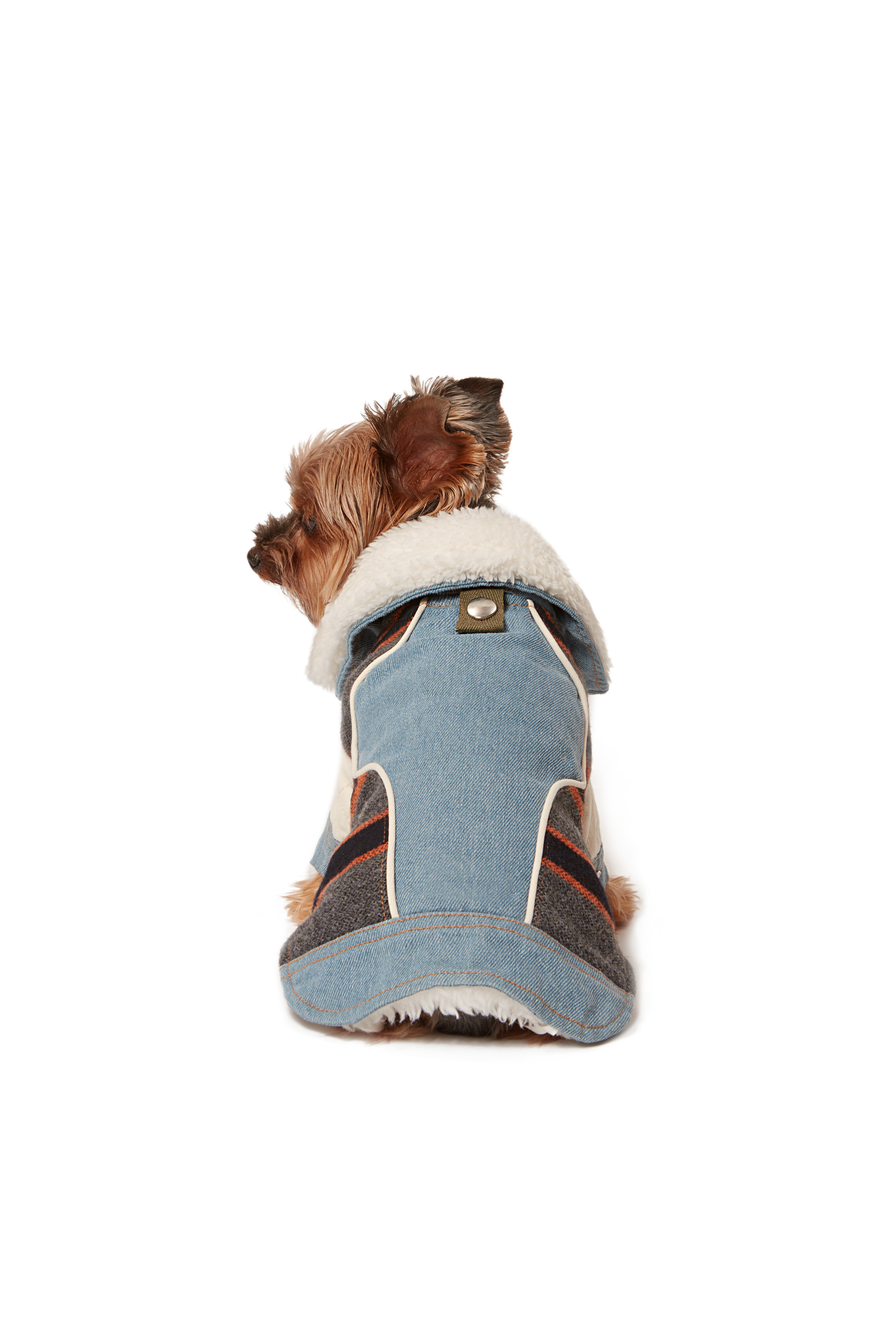 Diesel - PET-ED, Light Blue - Image 4