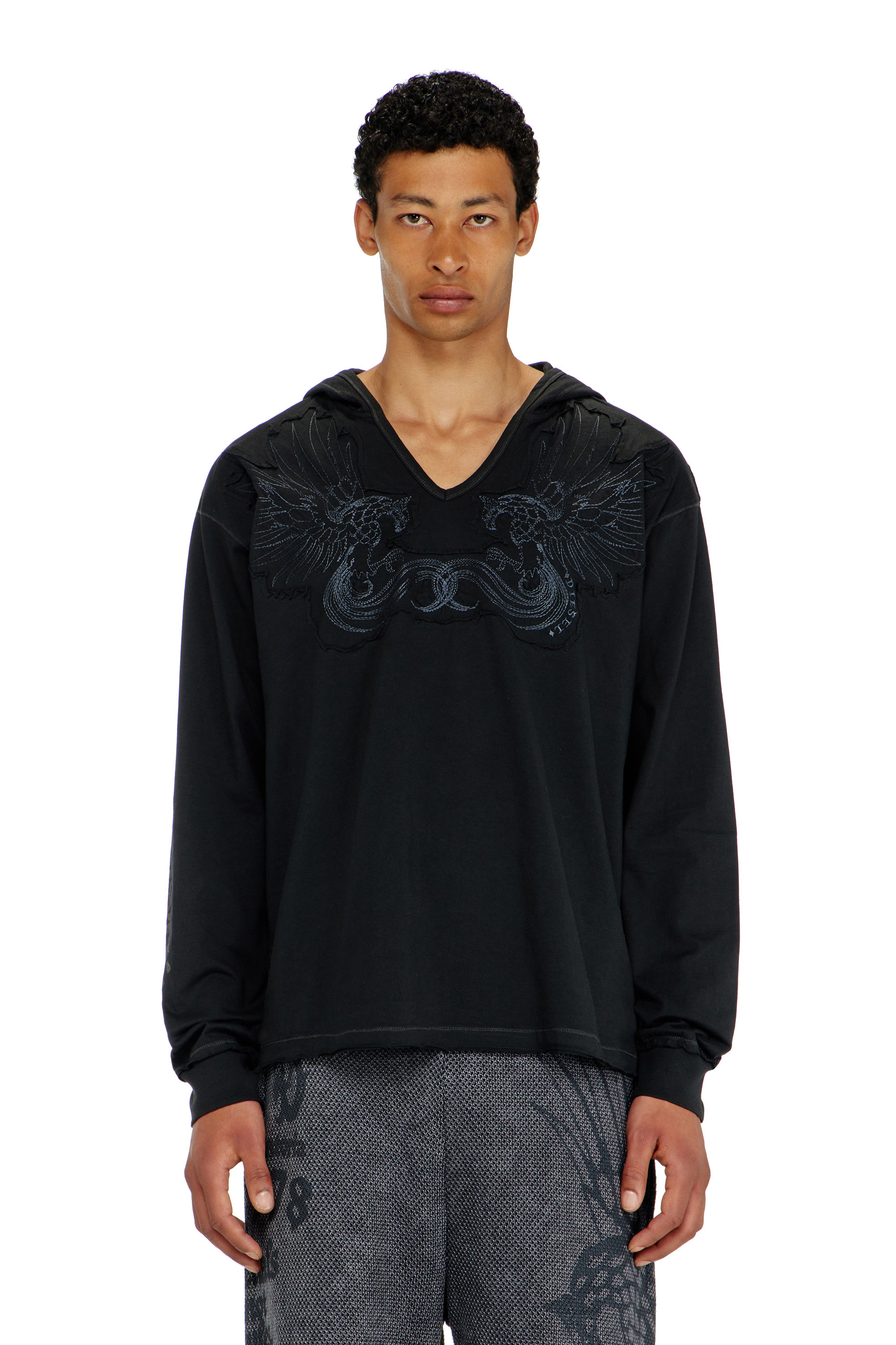 Diesel - T-PHEN-LS-HOOD-RIB, Man's Hoodie with V-neck and embroidered front in Black - 3